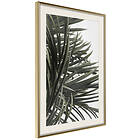 Artgeist Poster Affisch In the Shade of Palm Trees [Poster] 30x45 A3-DRBPRP1400m_zr_pp