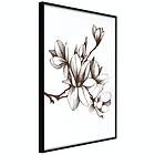 Artgeist Poster Affisch Renaissance Magnolias [Poster] 30x45 A3-DRBPRP1027m_cr