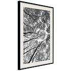 Artgeist Poster Affisch High Trees [Poster] 40x60 A3-DRBPRP1325l_cr_pp