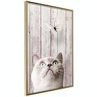 Artgeist Poster Affisch Cat's Nature [Poster] 30x45 A3-DRBPRP1713m_zr