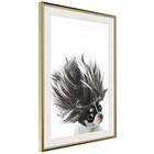 Artgeist Poster Affisch Chihuahua [Poster] 20x30 A3-DRBPRP0415s_zr_pp