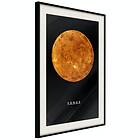 Artgeist Poster Affisch Venus [Poster] 40x60 A3-DRBPRP0648l_cr_pp