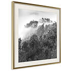 Artgeist Poster Affisch Rainforest [Poster] 30x30 A3-DRBPRP0027l_zr_pp