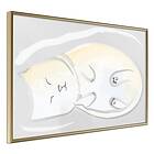 Artgeist Poster Affisch Sleepy Kitty [Poster] 60x40 A3-DRBPRP0202l_zr