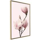 Artgeist Poster Affisch Seasonal Flowers [Poster] 40x60 A3-DRBPRP0684l_zr