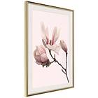 Artgeist Poster Affisch Blooming Flowers [Poster] 30x45 A3-DRBPRP0683m_zr_pp