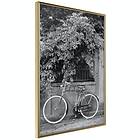 Artgeist Poster Affisch Bicycle and Flowers [Poster] 20x30 A3-DRBPRP0787s_zr