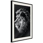 Artgeist Poster Affisch Blue-eyed Lion [Poster] 30x45 A3-DRBPRP0497m_cr_pp