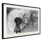 Artgeist Poster Affisch Passing Memory [Poster] 30x20 A3-DRBPRP0153s_cr_pp