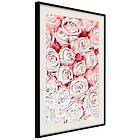 Artgeist Poster Affisch White Roses [Poster] 30x45 A3-DRBPRP0885m_cr_pp