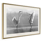 Artgeist Poster Affisch Heron Love [Poster] 60x40 A3-DRBPRP0071l_zr_pp