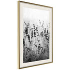 Artgeist Poster Affisch Lavender in the Rain [Poster] 30x45 A3-DRBPRP1443m_zr_pp