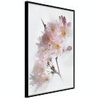 Artgeist Poster Affisch Spring in Japan [Poster] 30x45 A3-DRBPRP1691m_cr