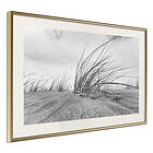 Artgeist Poster Affisch Seaside Reed [Poster] 45x30 A3-DRBPRP0054m_zr_pp