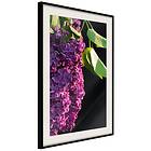 Artgeist Poster Affisch Colours of Spring [Poster] 30x45 A3-DRBPRP1068m_cr_pp