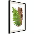 Artgeist Poster Affisch Firmness of Nature [Poster] 20x30 A3-DRBPRP1111s_cr_pp