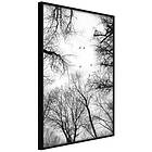 Artgeist Poster Affisch Winter Flight [Poster] 30x45 A3-DRBPRP1153m_cr