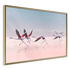 Artgeist Poster Affisch Flamingos Race [Poster] 45x30 A3-DRBPRP0126m_zr