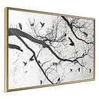 Artgeist Poster Affisch Bird Meeting [Poster] 45x30 A3-DRBPRP0115m_zr