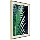 Artgeist Poster Affisch Sharp Leaves [Poster] 20x30 A3-DRBPRP1011s_zr_pp