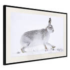 Artgeist Poster Affisch Rabbit 60x40 A3-DRBPRP0130l_cr_pp