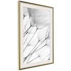 Artgeist Poster Affisch Lightness of Moment [Poster] 30x45 A3-DRBPRP0399m_zr_pp