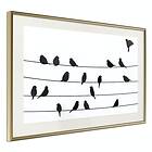 Artgeist Poster Affisch Bird Family [Poster] 60x40 A3-DRBPRP0224l_zr_pp