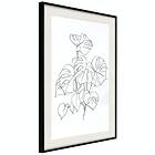 Artgeist Poster Affisch Monochrome Monstera [Poster] 30x45 A3-DRBPRP1041m_cr_pp