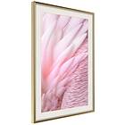 Artgeist Poster Affisch Feathers [Poster] 40x60 A3-DRBPRP0677l_zr_pp
