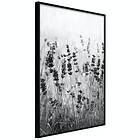 Artgeist Poster Affisch Lavender in the Rain [Poster] 30x45 A3-DRBPRP1443m_cr