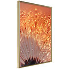 Artgeist Poster Affisch Autumn Dandelion [Poster] 40x60 A3-DRBPRP1458l_zr