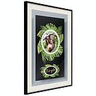 Artgeist Poster Affisch Sloth [Poster] 30x45 A3-DRBPRP0496m_cr_pp