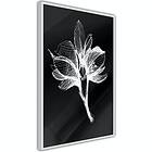 Artgeist Poster Affisch Night Flower [Poster] 30x45 A3-DRBPRP1048m_br