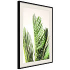 Artgeist Poster Affisch Plant Detail [Poster] 20x30 A3-DRBPRP1010s_cr_pp