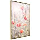 Artgeist Poster Affisch Summer Meadow [Poster] 40x60 A3-DRBPRP0498l_zr