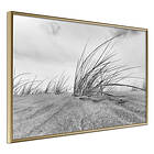 Artgeist Poster Affisch Seaside Reed [Poster] 30x20 A3-DRBPRP0054s_zr
