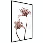 Artgeist Poster Affisch Illuminated Closeness [Poster] 40x60 A3-DRBPRP0855l_cr