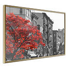 Artgeist Poster Affisch Autumn in New York [Poster] 30x20 A3-DRBPRP0104s_zr