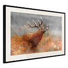 Artgeist Poster Affisch Roaring Deer [Poster] 60x40 A3-DRBPRP0047l_cr_pp