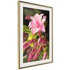 Artgeist Poster Affisch Natural Pink [Poster] 20x30 A3-DRBPRP1056s_zr_pp