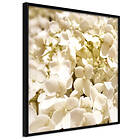 Artgeist Poster Affisch White Meadow [Poster] 30x30 A3-DRBPRP0038l_cr