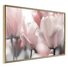 Artgeist Poster Affisch Fabulous Tulips [Poster] 45x30 A3-DRBPRP0107m_zr