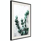 Artgeist Poster Affisch Eucalyptus Scent [Poster] 30x45 A3-DRBPRP1318m_cr_pp