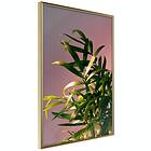 Artgeist Poster Affisch Botanical Detail [Poster] 30x45 A3-DRBPRP1009m_zr