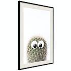 Artgeist Poster Affisch Cactus With Eyes [Poster] 40x60 A3-DRBPRP0605l_cr_pp