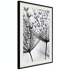 Artgeist Poster Affisch Morning Dew [Poster] 30x45 A3-DRBPRP0545m_cr_pp
