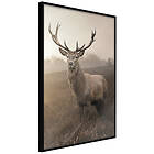 Artgeist Poster Affisch Deer in Sepia [Poster] 40x60 A3-DRBPRP0846l_cr