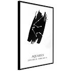 Artgeist Poster Affisch Zodiac Aquarius Signs: [Poster] 20x30 A3-DRBPRP0382s_cr