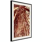 Artgeist Poster Affisch Tall Bamboos [Poster] 20x30 A3-DRBPRP1473s_cr_pp