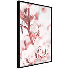 Artgeist Poster Affisch Blooming Cotton [Poster] 40x60 A3-DRBPRP1529l_cr